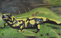 Feuersalamander